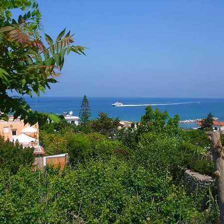 Hibiscus Hotell