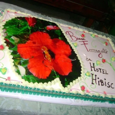 Hibiscus