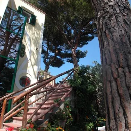 酒店 芙蓉别墅酒店 Forio di Ischia