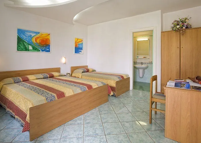 Hibiscus 3*