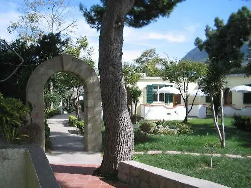 Hibiscus Forio di Ischia