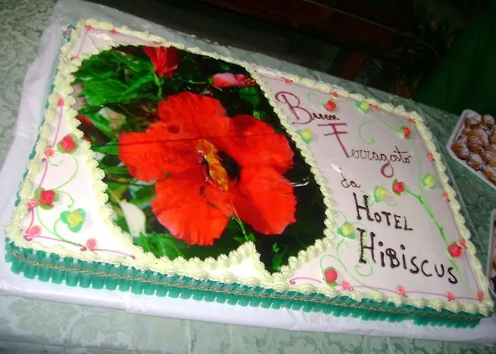 Hibiscus